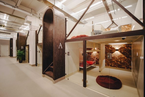 I psi zaslužuju luksuz!