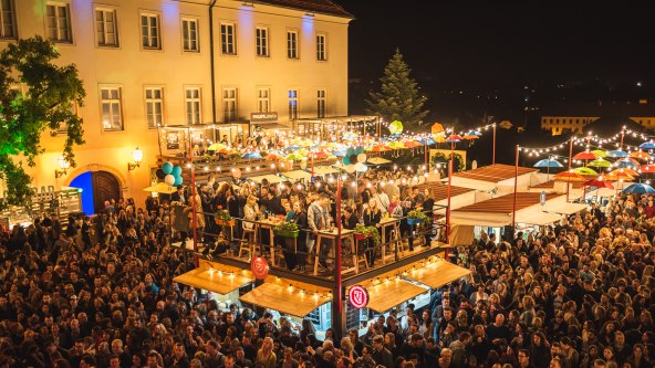 Pregršt pozitivnih ritmova ponovno na Baš Naš Festivalu na Gradecu