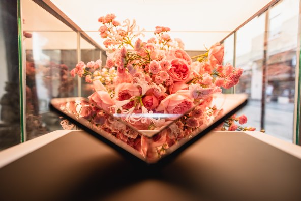 Samsung i Saša Šekoranja – savršen spoj inovacija i estetike