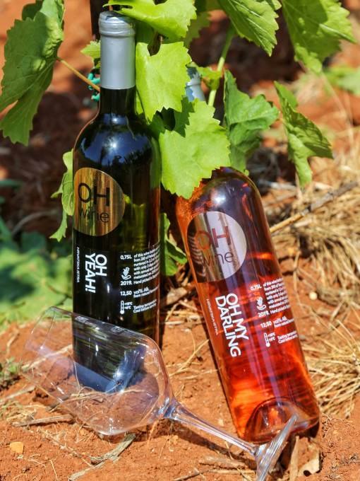 Moderna istarska vinarija koja se maknula od tradicionalne proizvodnje