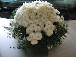 Silan&Svilanit nagradni natječaj u studenom...