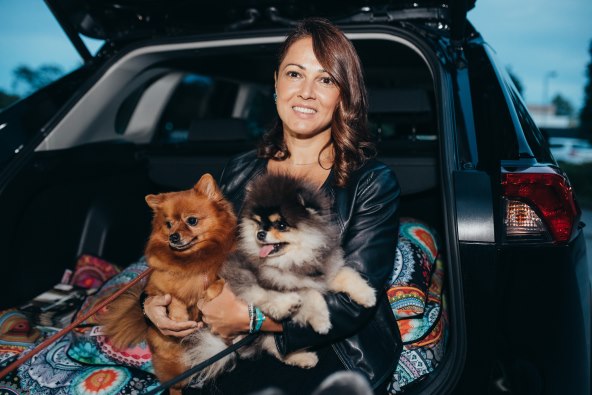 Pseći život na visokoj nozi