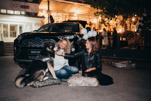 Pseći život na visokoj nozi