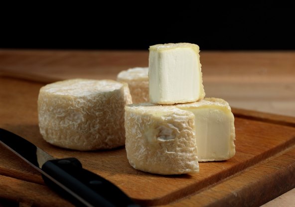 Imunitet i kozje mlijeko