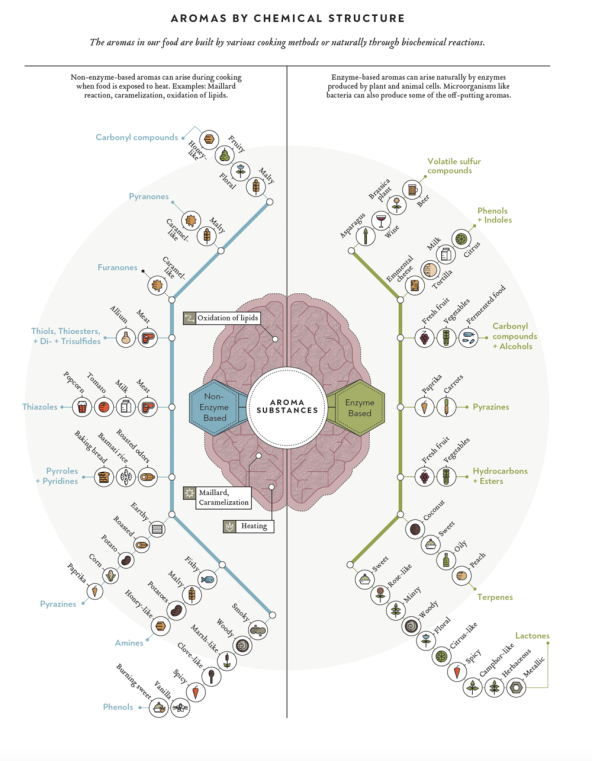 Otkrijte što se krije iza pojma 'jednadžba okusa'
