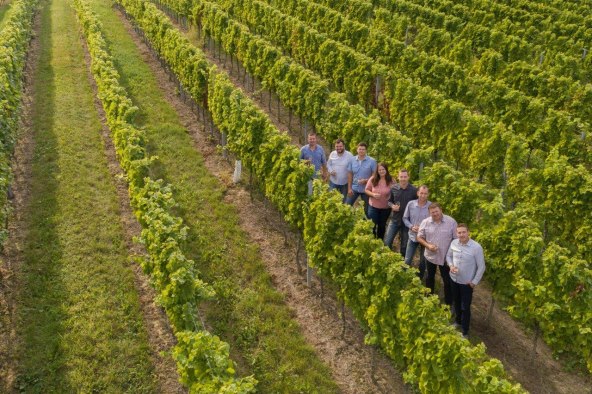 Jedna ideja, sedam sorata i deset vina