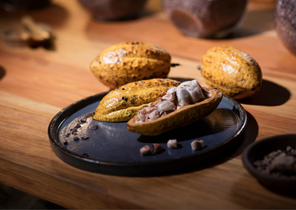 Podrška za budućnost