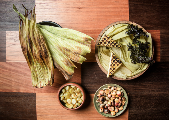 Podrška za budućnost