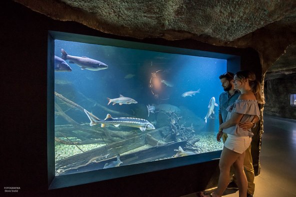 Posjetite karlovački slatkovodni akvarij – jedini takav u Hrvatskoj