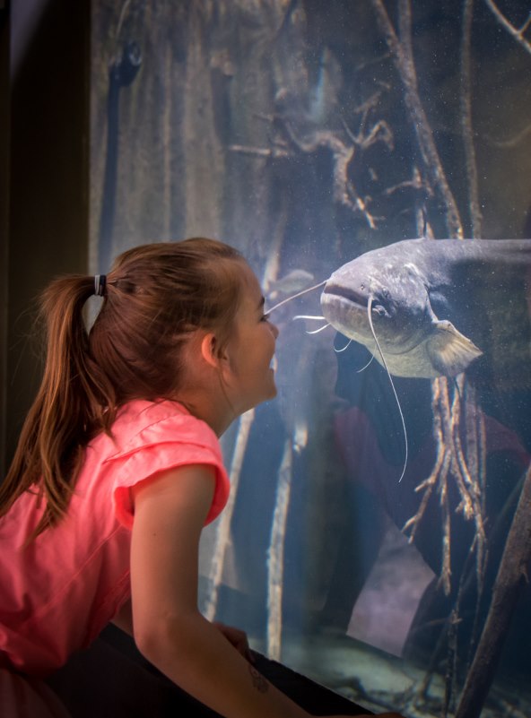 Posjetite karlovački slatkovodni akvarij – jedini takav u Hrvatskoj