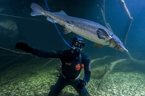 Posjetite karlovački slatkovodni akvarij – jedini takav u Hrvatskoj