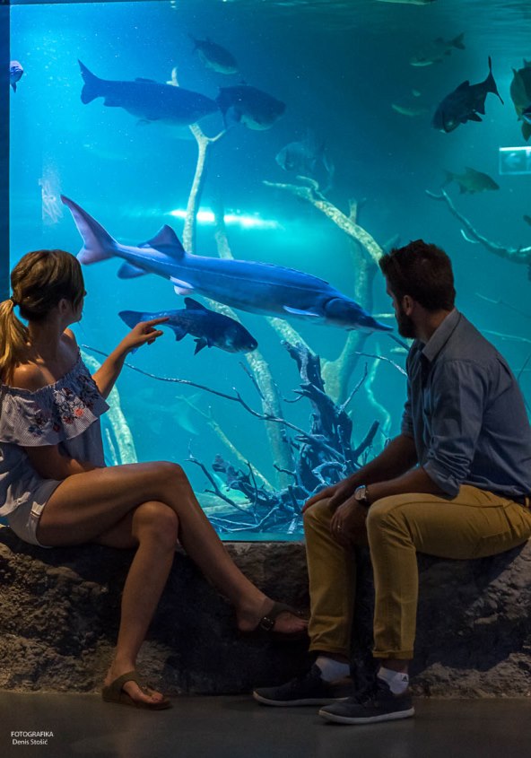 Posjetite karlovački slatkovodni akvarij – jedini takav u Hrvatskoj