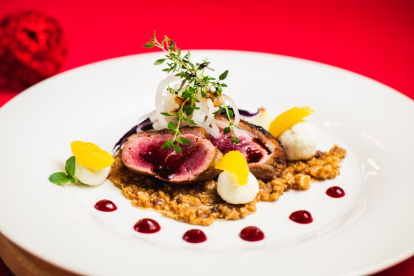 Patka s kupusom i repom