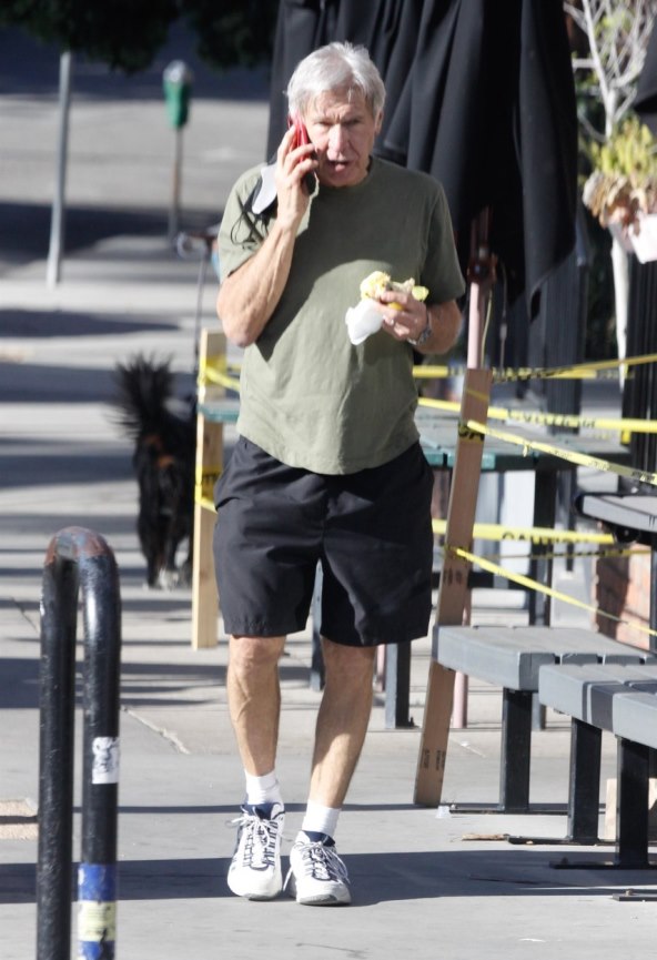 Harrison Ford trenutno je u braku s Calistom Flockhar