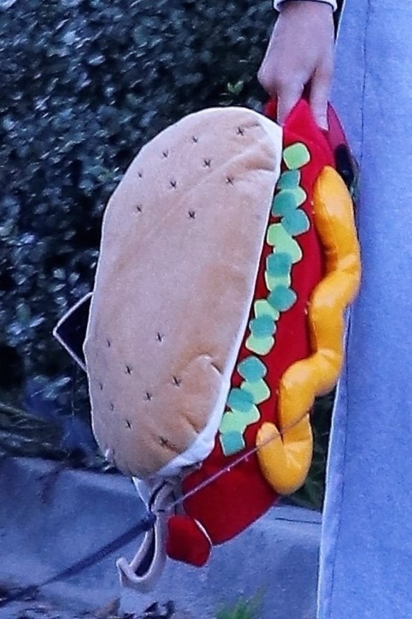 Stella, je li ti ponestalo angažmana? Manekenka uhvaćena kako skuplja smeće