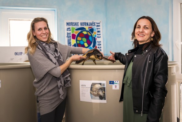 UČINI DOBRU STVAR Spasi morske pse i kornjače