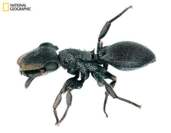 Ne propustite travanjski broj National Geographica Hrvatska!