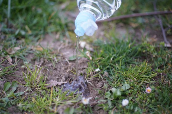 SLIJEDITE TAJNI RECEPT Biljkoborci, neka vam sunce posluži umjesto pećnice!