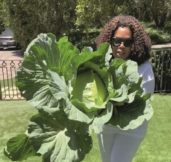 'GENERALKA' VAŠEG ORGANIZMA Eliminirajte toksine nakupljene preko zime!