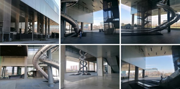 festival vina Pink Day