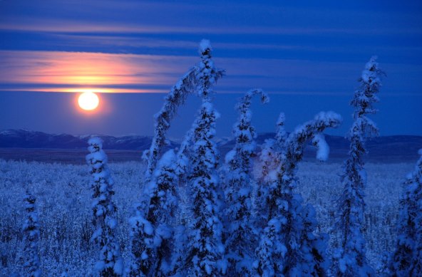 Pet načina za korištenje snažne energije punog Mjeseca