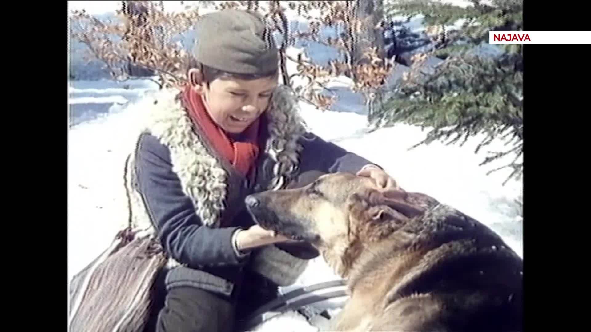 Vuk samotnjak