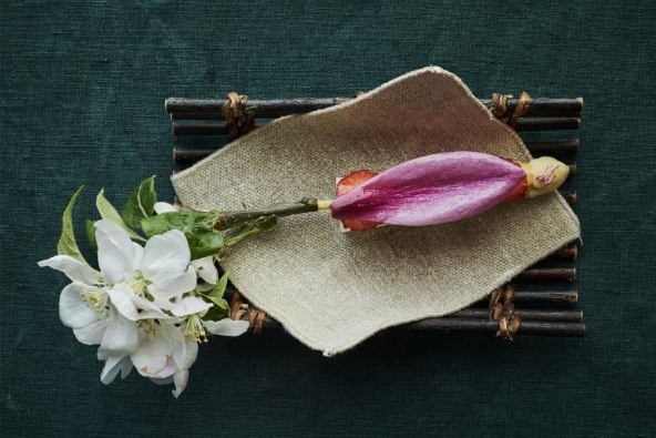 Novi jelovnici Eleven Madison Park i Noma