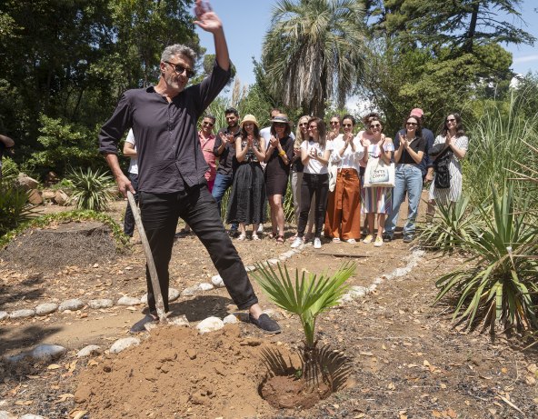 Palma zlata vrijedna