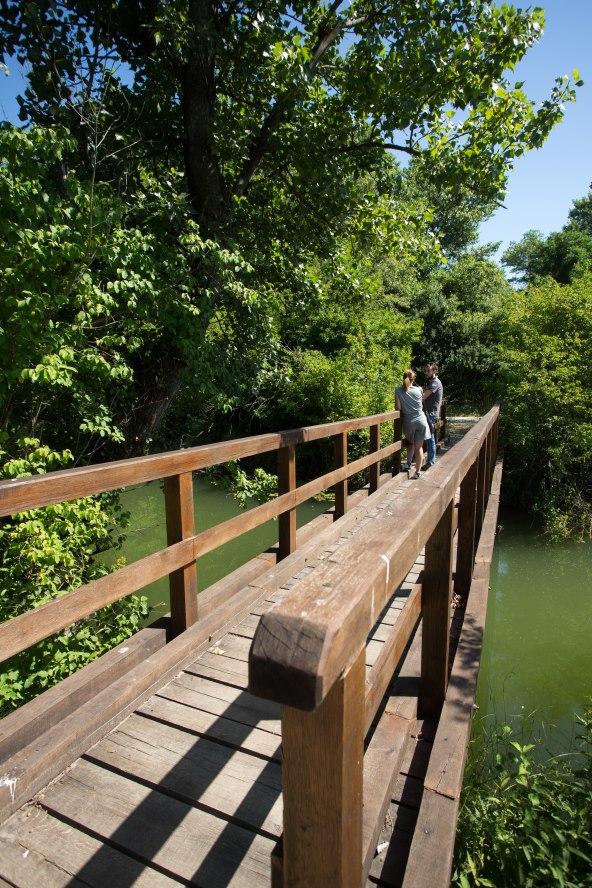 OAZA USRED VELEGRADA Prošetali smo zadnjim ostatkom divljine u Zagrebu!  