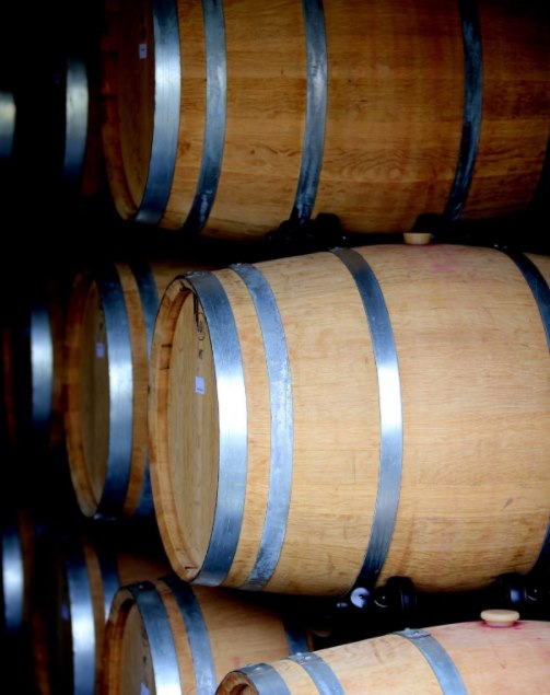 Pet vinarija sjeverozapadne Hrvatske