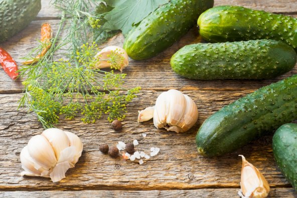 Recepti za pripremu zimnice