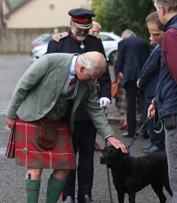 Osvojeno srce princa Charlesa
