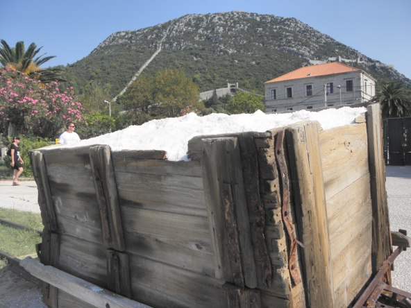 Festival soli u Stonu