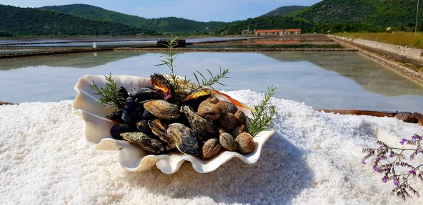 Festival soli u Stonu