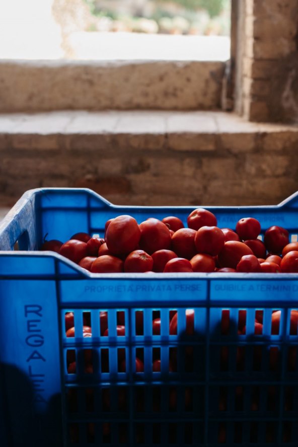 IMG_4087-scaled-e1630243211223