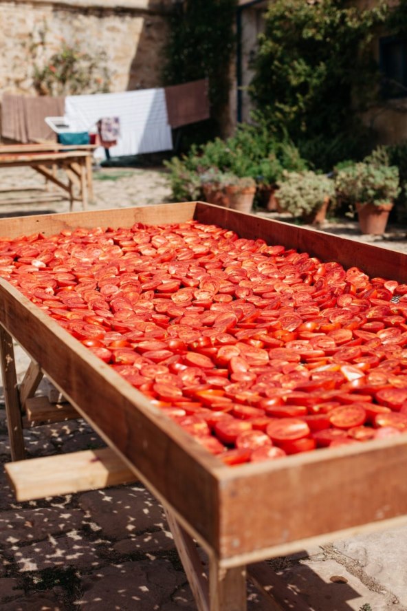 IMG_4187-scaled-e1630243377877