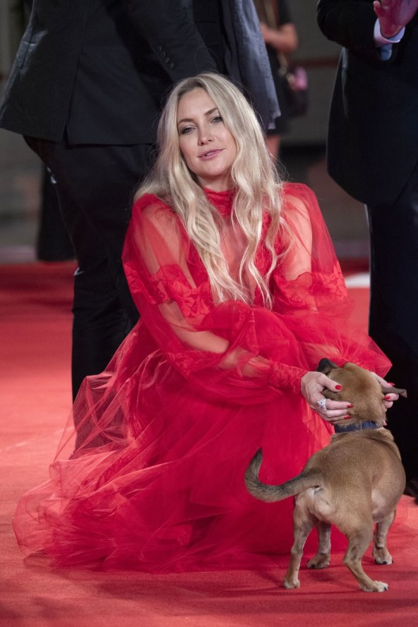 profimedia-0630570039