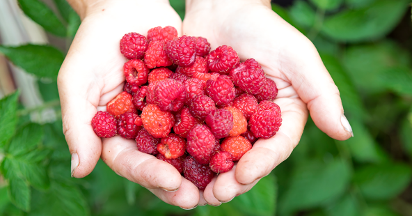 Sjećate li se okusa hrane iz djetinjstva?