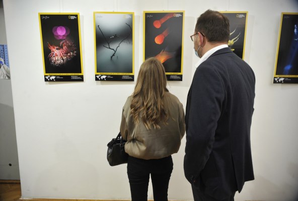 Otvorenje 10jubilarne izložbe podvodnih fotografija autora Damira Zuruba 2JPG