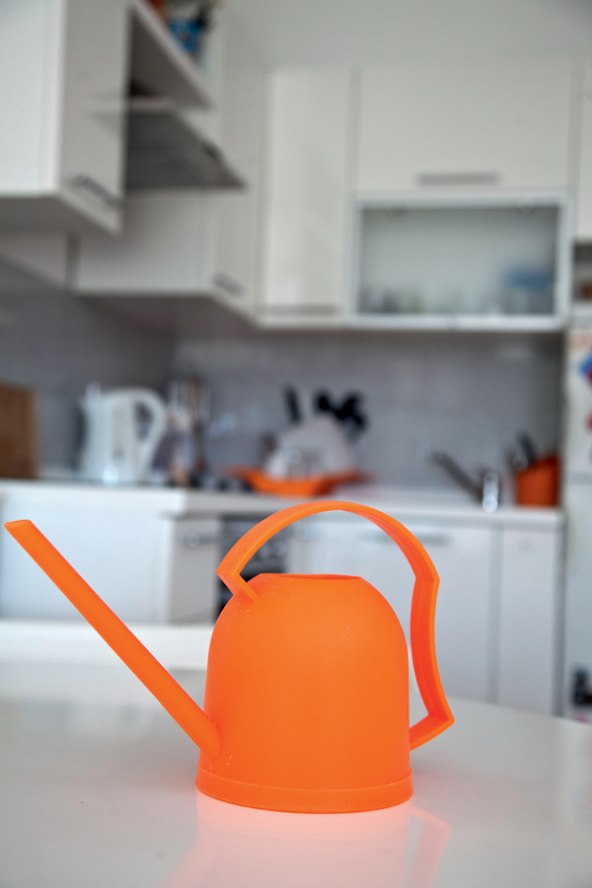 Bijela, kao temelj svega