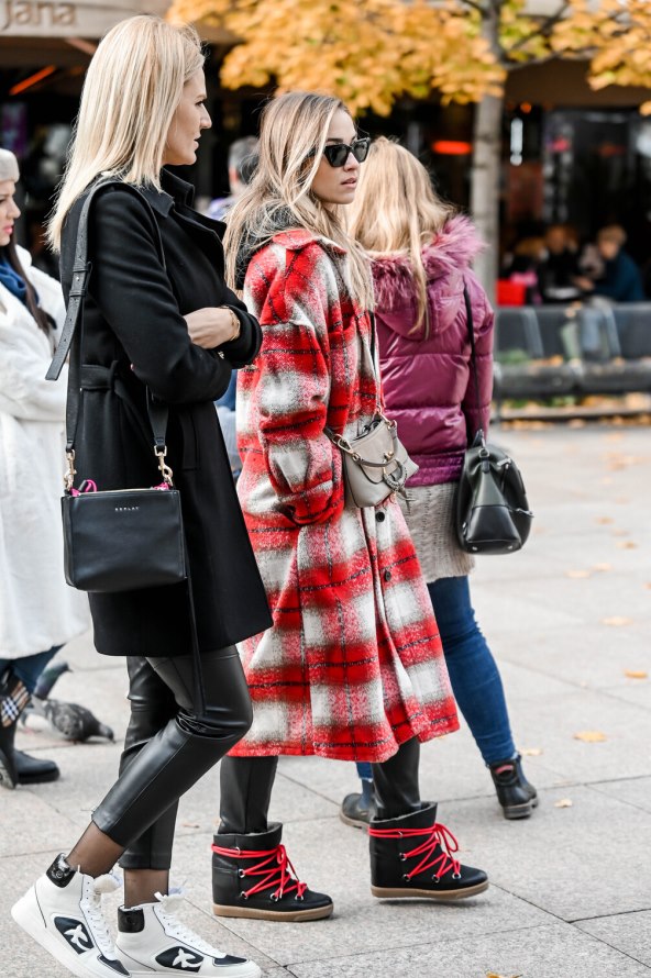 Brineta s dugim nogama dominirala špicom