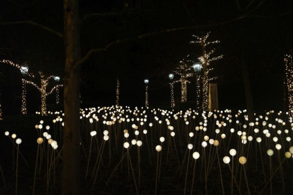 Mjesečev vrt u sklopu Adventa na Gornjem gradu