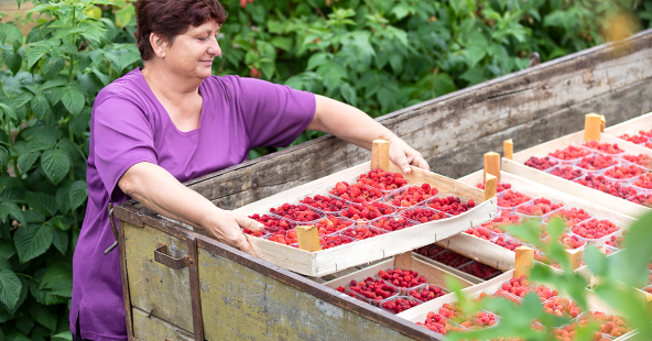Sjećate li se okusa hrane iz djetinjstva?
