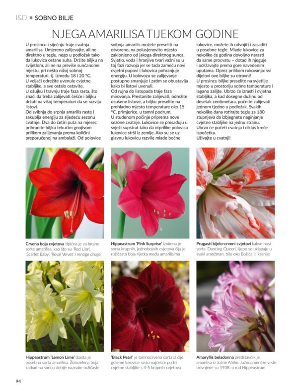 potrazite-aktualno-izdanje-casopisa-interijeridekoracije-na-svim-kioscima