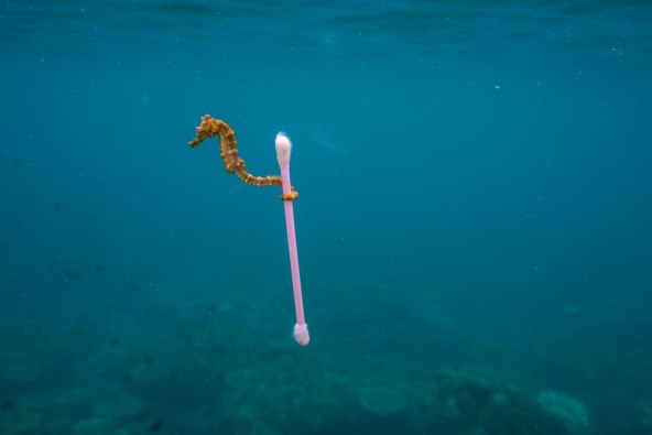 ne-propustite-ekoloski-lipanjski-broj-national-geographica-hrvatska