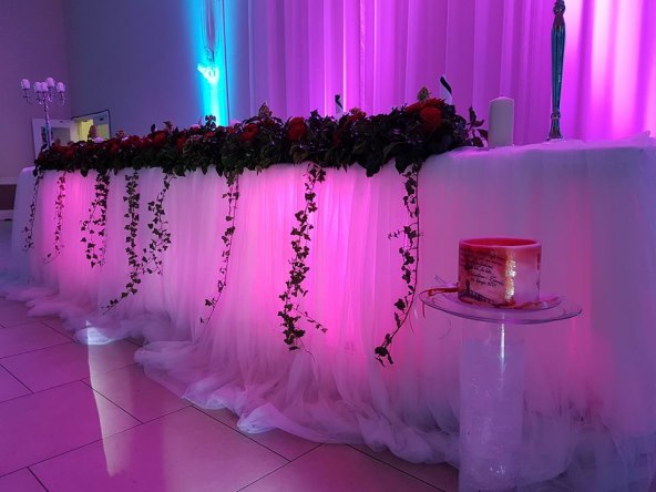 goji-entertainment-rasvjeta-za-vjencanja-dj-razglas-karaoke