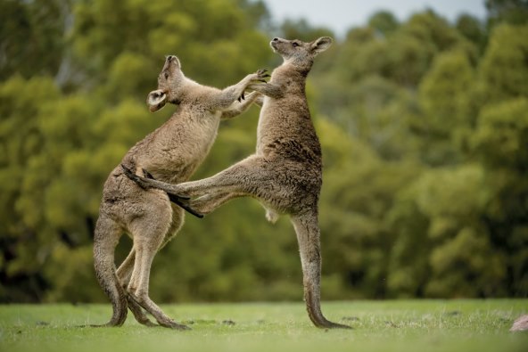 ne-propustite-novo-izdanje-national-geographica-hrvatska