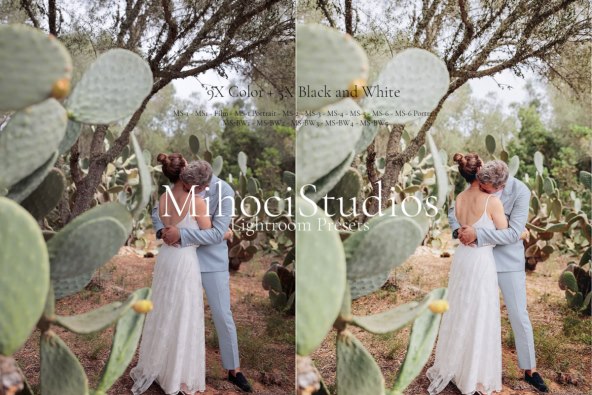 novosti-iz-mihoci-studios