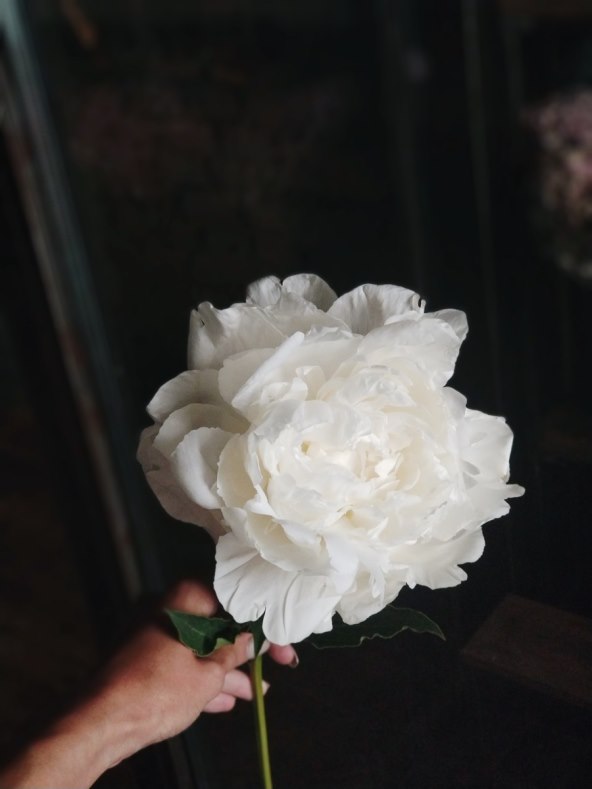 5-savjeta-pri-odabiru-cvijeca-za-vjencanje