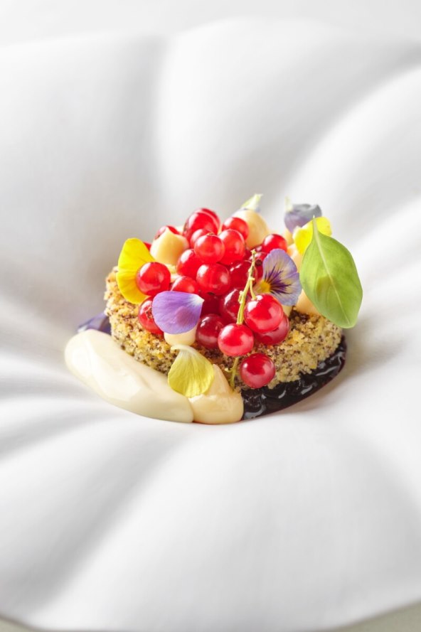 rapsodija-okusa-nadahnuta-ljetom-i-okusima-mediterana-novi-zinfandelsov-jelovnik-s-autorskim-jelima-chefice-ane-grgic-tomic